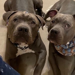 Meet your Posher, Mari